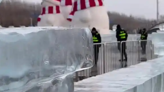 冰封奇观引爆全网！哈尔滨冰雪大世界“冻鱼”成新晋顶流，网友：这泼天的富贵轮到冻鱼了？