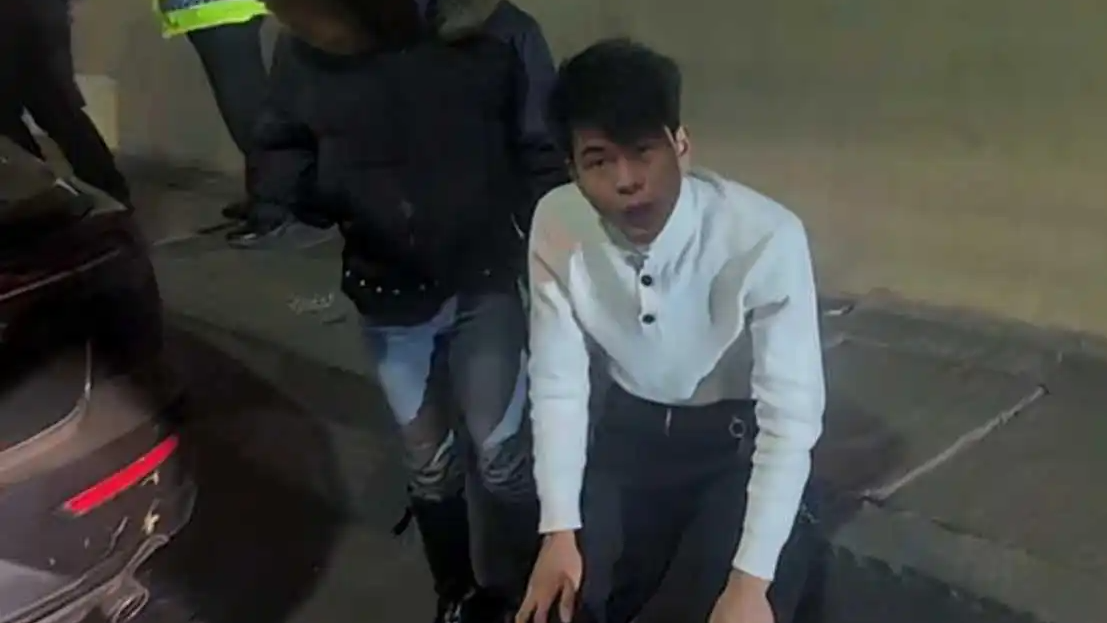 定速巡航变“死亡狂奔”?490公里惊魂夜拷问智能汽车安全底线