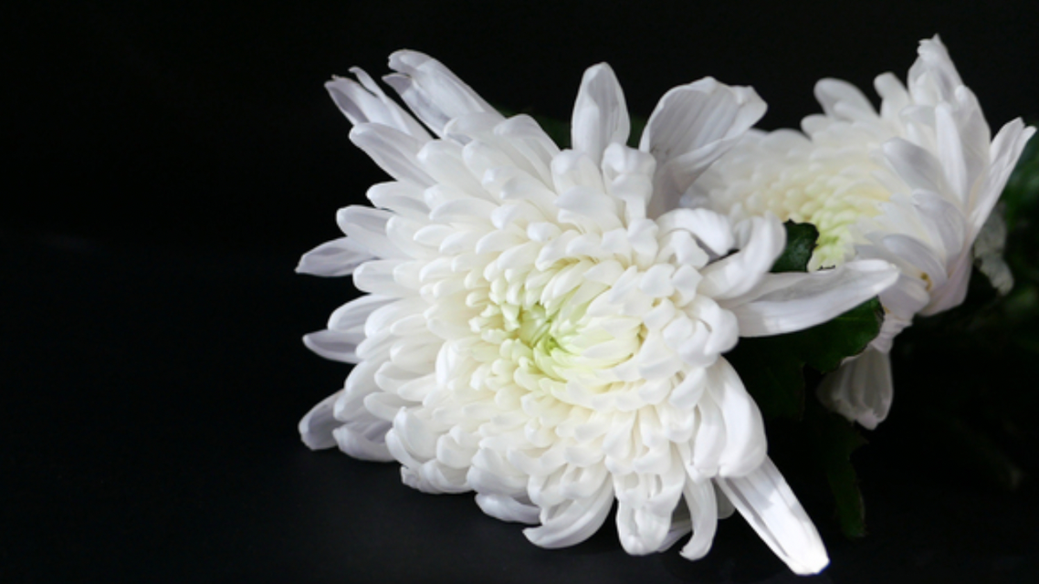 3毫米与一条生命：小洛熙之死，拷问医疗信任的最后防线